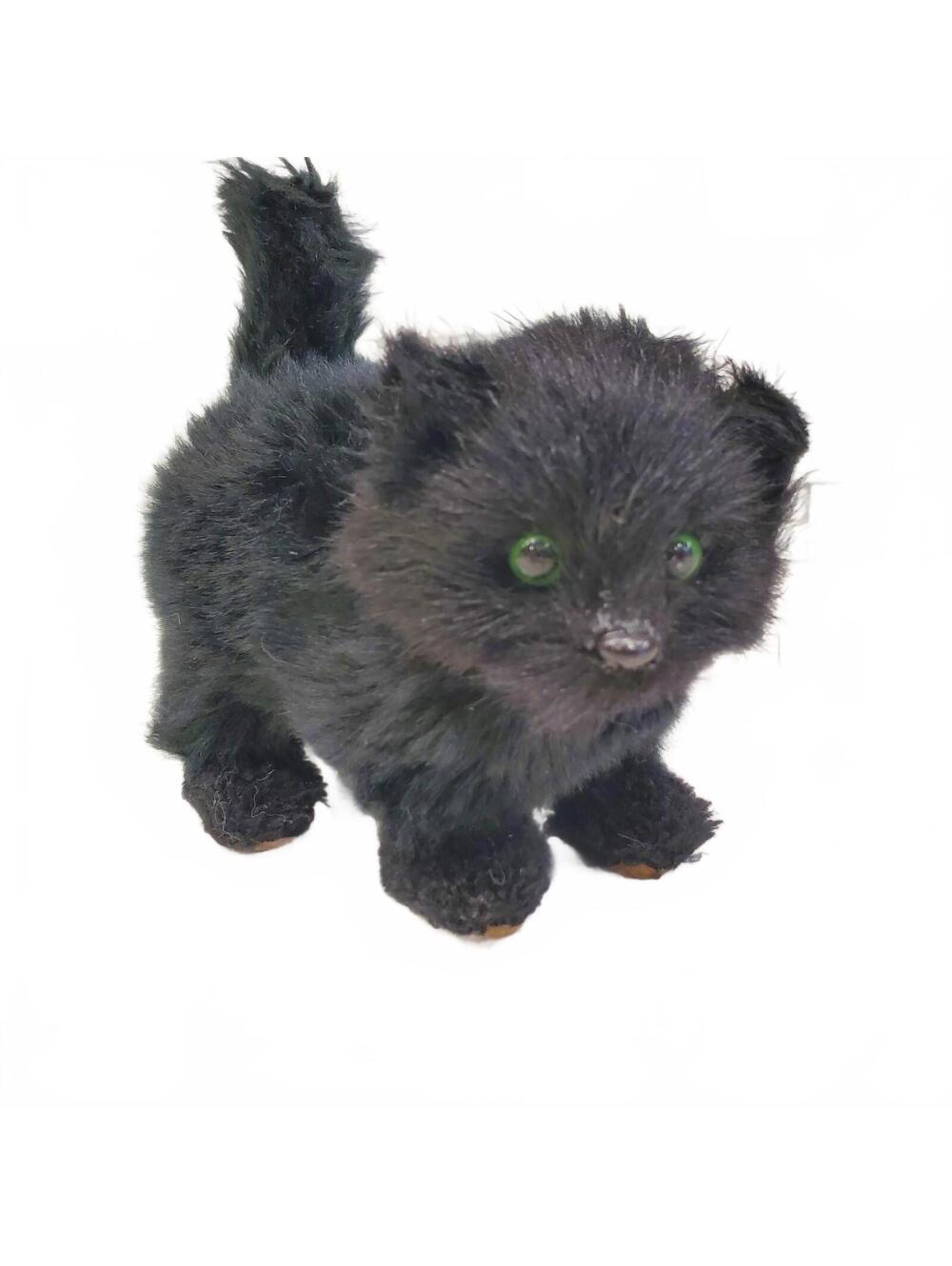 Little House on the Prairie Black Susan Cat Black Blue Eyes